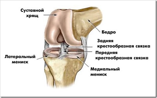 Повреждения менисков коленных суставов